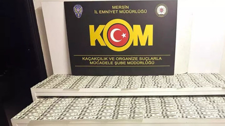 Matbaa kurup sahte dolar basan şüpheliler yakalandı