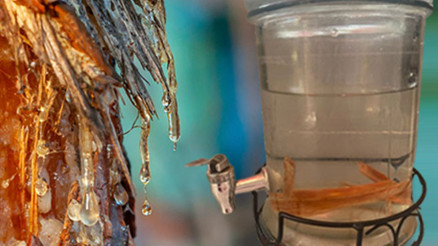 Bir çıralı su hikayesi...