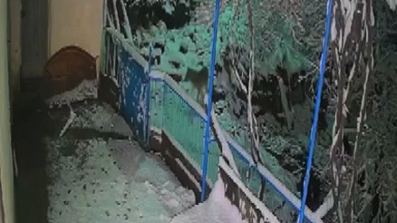 Elazığdaki hırsız çakal kamerada: Bir evin balkonuna girip çaldı