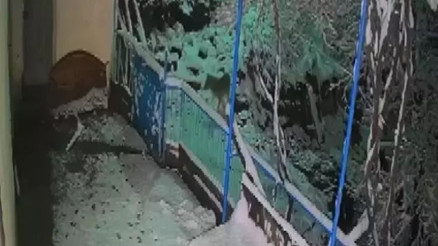 Elazığ’da köye inen çakalın evin balkonundaki tepsiyi çalma anı kamerada