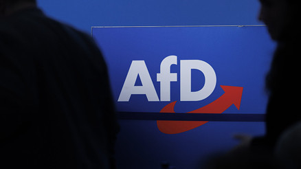 Almanya’nın en zengin partisi AfD