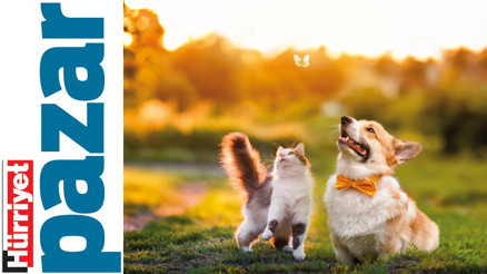 Baharda onlara da bir haller oluyor