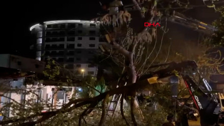 Aydında kuvvetli rüzgar Çatılar uçtu, ağaçlar devrildi