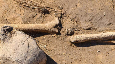 Viyana’da Roma dönemine ait toplu mezar keşfedildi