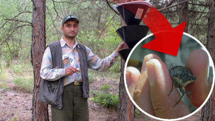 Keşfine verdiği isim herkesi şaşkına çevirmişti Sosyal medyada gündem olan akademisyen: Linçleneceğimi bilerek bu kararı verdim