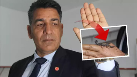 Şanlıurfalı akrep üreticisi dünyanın en pahalı sıvısını üretiyor: Gramı 10 bin dolardan alıcı buluyor