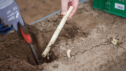 Alman çiftçilerden asgari ücrete tepki Alman çiftçilerden asgari ücrete tepki