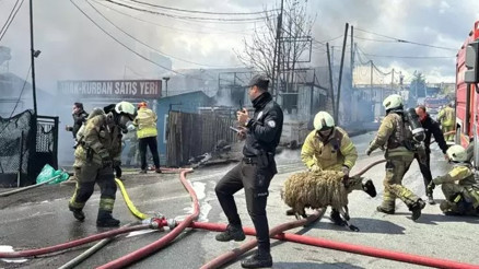 Başakşehir’de kimya deposunda korkutan yangın Araçlar yandı, hayvanlar böyle kurtarıldı