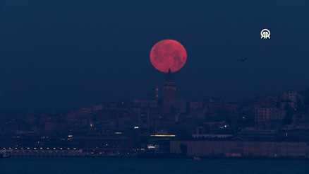İstanbulda baharın habercisi Pembe Ay görsel şölen oluşturdu İstanbulda baharın habercisi Pembe Ay görsel şölen oluşturdu