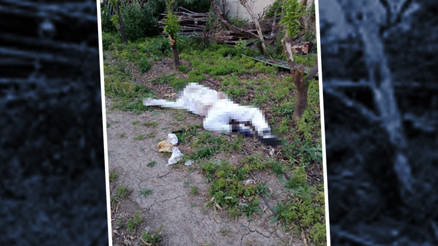 Serçe parmağını arı soktu, fenalaşarak hayatını kaybetti