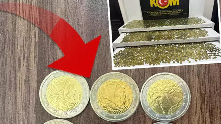 Piyasa değeri 430 bin TL: Mersinde binlercesi ele geçirildi