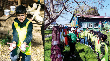 İstanbul’da Tabiat Mektepleri: Taş fırında ekmek, kümeste taze yumurta