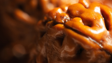 Beyin sağlığı için birebir Günde ne kadar tüketmeli İşte ceviz yemenin sağlığa dokuz muhteşem faydası