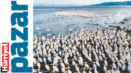 Gökyüzünde şenlik var