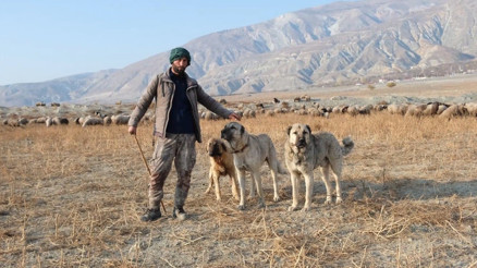 100 bin lira maaşla çalışan bulamadı Derdini Vali Aydoğduya anlattı