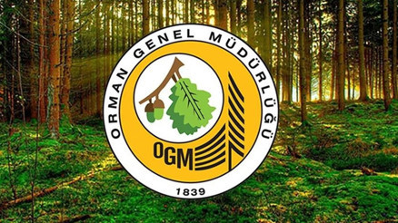 OGM 105 PERSONEL ALIMI BAŞVURU ŞARTLARI VE TARİHİ 2025 || Orman Genel Müdürlüğü sözleşmeli personel alımı ne zaman, başvuru şartları neler, başvurular nasıl yapılır