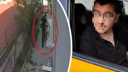 Sahiplendiği köpekleri evde parçalayıp, öldürdüğü iddia edilen doktor tutuklandı Vahşetin bir bölümü kamerada