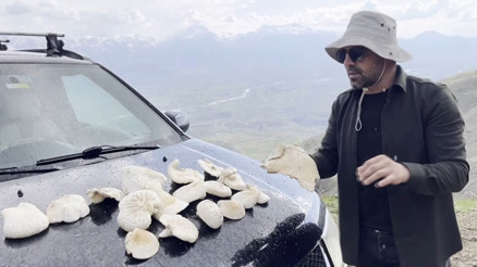 2 bin rakımın üzerinde yetişiyor Toplamak için kilometrelerce uzaktan geldiler