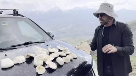 2 bin rakımın üzerinde yetişen mantarları topluyorlar