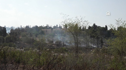 İsrailde ormanlık alanda çıkan yangınlar 11 noktada sürüyor