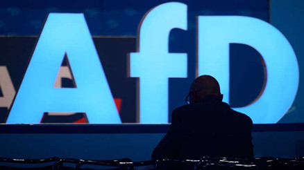 AfD’de hükümet ortaklığı hazırlığı