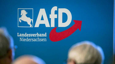 AfD’yi yasaklarsın, ya AfD’li kafaları