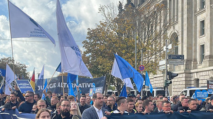 Almanyada AfDnin yasaklanmasını destekliyor musunuz anketi