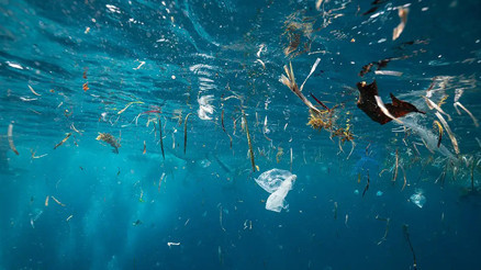 Yeni araştırma ortaya çıkardı: Mikroplastikler okyanusun her katmanına bulaştı