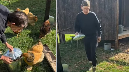 Ekranın en konuşkan yıldızıydı... Doğaya koşup çiftliğe yerleşti, başına gelmeyen kalmadı: Yemeğinizi yiyin tavuklarım