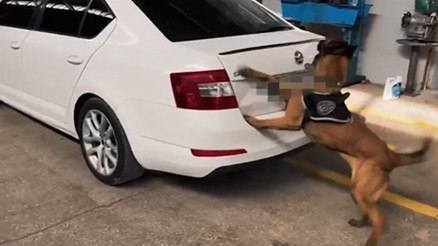 Bakan Yerlikaya: Van ve Şanlıurfa’da 311,5 kg uyuşturucu madde ele geçirdik