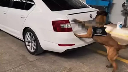 Bakan Yerlikaya: Van ve Şanlıurfa’da 311,5 kg uyuşturucu madde ele geçirdik