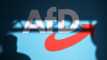 AfD yasaklansın gösterileri