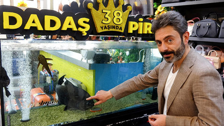 Dadaş isimli pirana için ilginç doğum günü kutlaması Dadaş isimli pirana için ilginç doğum günü kutlaması