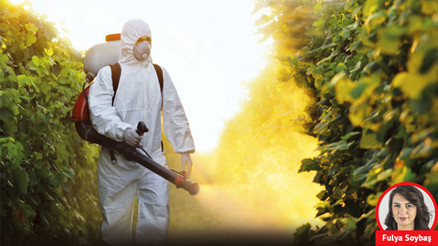 3 haftada 20 ürün geri döndü: Aflatoksin ve Pestisit’te neden sınıfta kalıyoruz