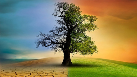 Almanya 2024 iklim hedefine “zayıf ekonomi” ile ulaştı