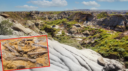 Bir benzeri daha yok: Ölüm Nehrindeki toplu mezarın 72 milyon yıllık gizemi İnsanın ağzı açık kalıyor