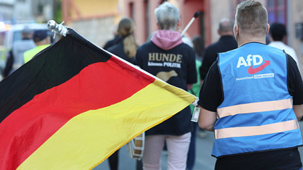 ‘Kardeşler’ AfD’yi solladı