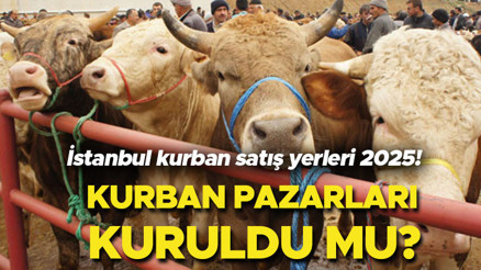 İstanbul kurban satış yerleri 2025 | Kurbanlıklar İstanbula ne zaman gelecek 2025 Kurban pazarları kuruldu mu İstanbul İl Tarım ve Orman Müdürü açıkladı