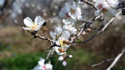 Nevruz Bayramı ne zaman 2026 Nevruz Bayramı resmi tatil mi olacak