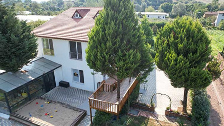 Doğasever çift, 3 çam ağacına dokunmadan masal gibi kreş yaptı