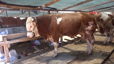 Bayram öncesi Bir tıkla bağış değil, tuzağa düşüyorsunuz uyarısı Bayram öncesi Bir tıkla bağış değil, tuzağa düşüyorsunuz uyarısı