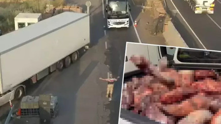 Şanlıurfa’da yolcu otobüsünde bozuk et ve kaçak içki ele geçirildi