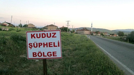 4 mahalle kuduz nedeniyle karantinaya alındı