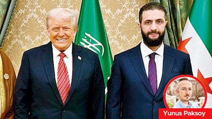 Şam havucu Washington sopası