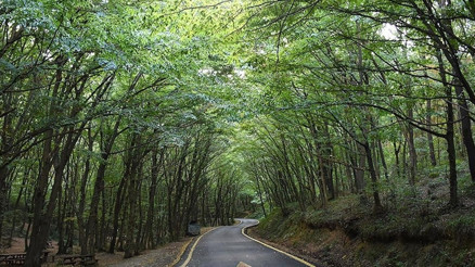 Ormanlık alanlara girişler yasaklandı Burdur Valisi duyurdu