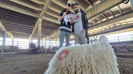 Kurban satıcılarına ‘sahte para’ uyarısı