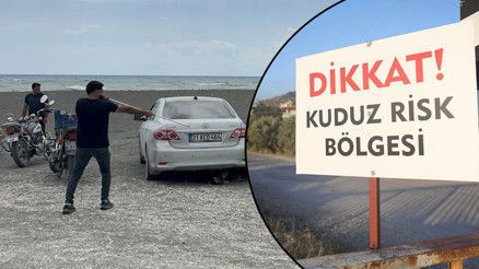 4 mahallede kuduz alarmı Köpekler toplanmaya başladı