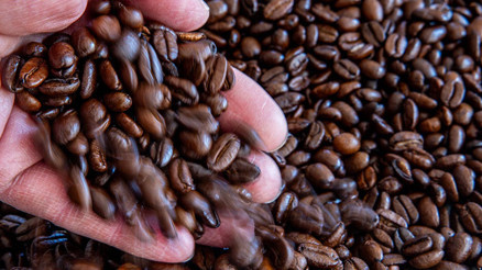 Kahveye zam tüketimi etkilemedi