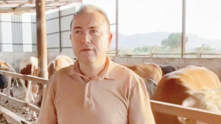 Dananın fotoğrafını çekerken öldü Dananın fotoğrafını çekerken öldü