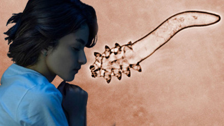 Uyurken bu böcekler yüzünüzde parti yapıyor Dışarı çıkıp çiftleşiyorlar, uyandığımız anda gözeneklere geri dönüyorlar